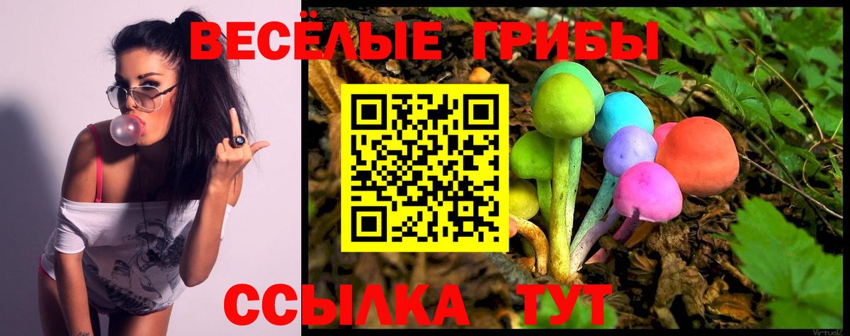 Галлюциногенные грибы прущие грибы Георгиевск